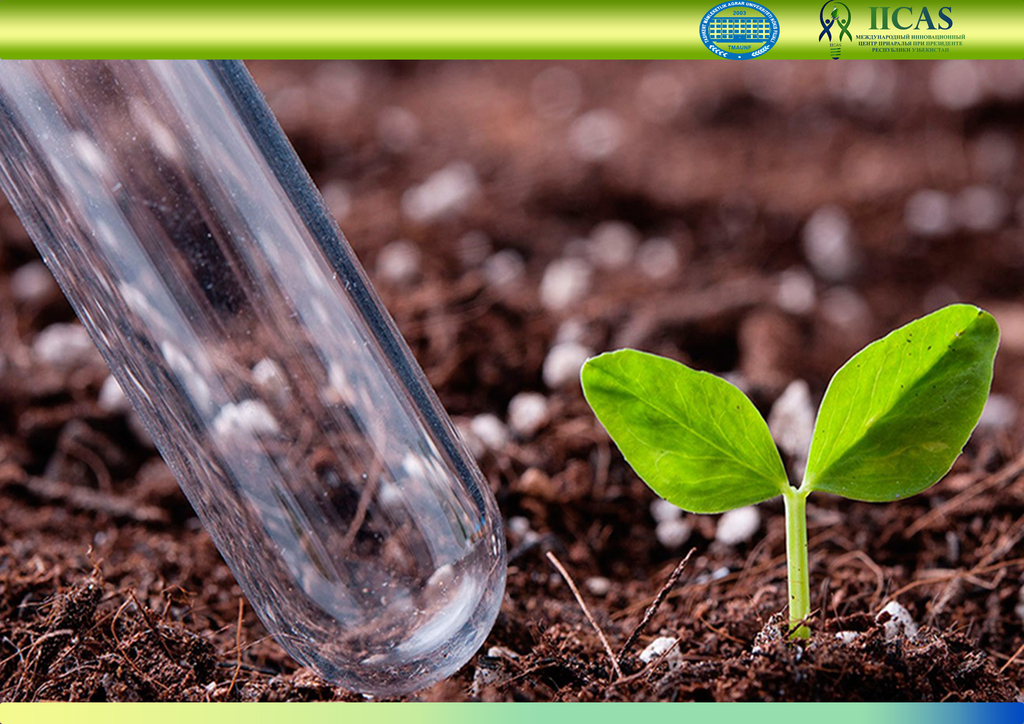 Меры по исследованию и оценке почв