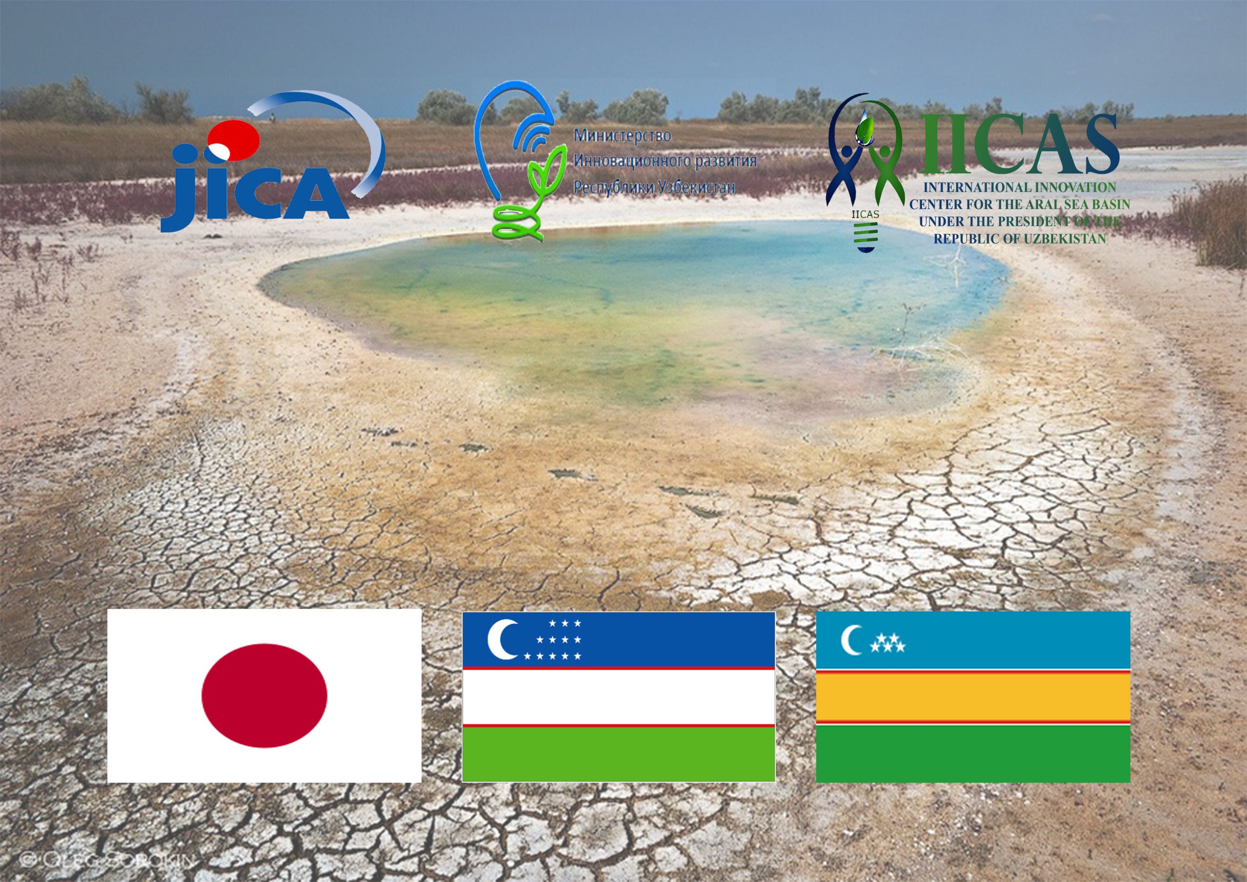 Международное сотрудничество с JICA