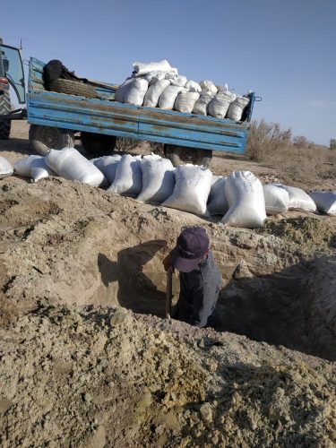 Отобраны пробы со дна Аральского моря для лизиметрических исследований.