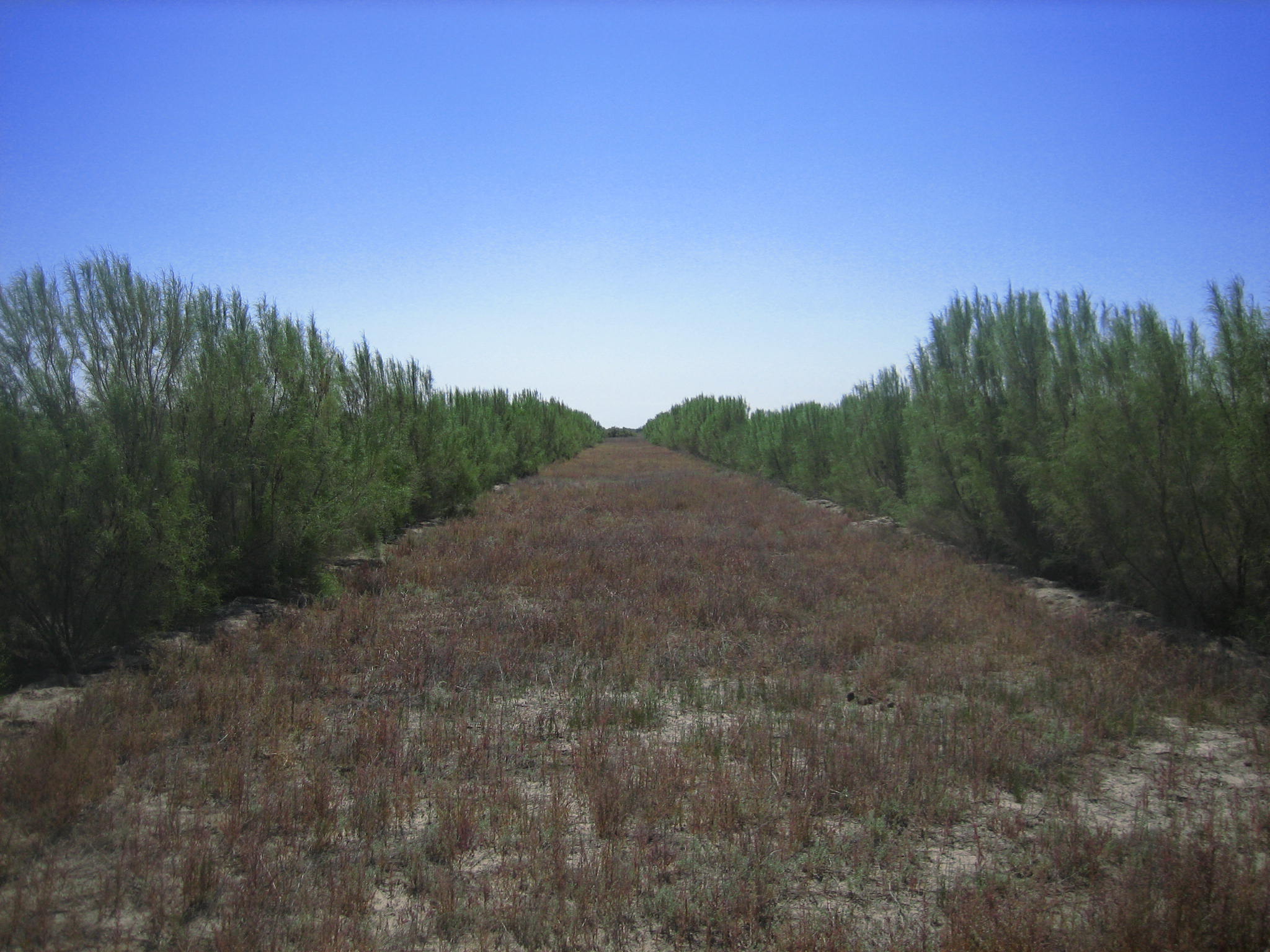 Экологические проблемы региона вновь в центре внимания