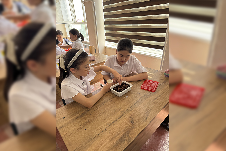 Формирование экологических навыков — первый шаг к сознательному отношению к природе