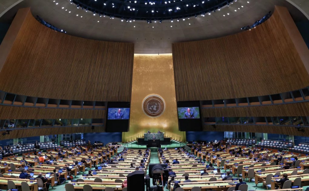 По инициативе Узбекистана Генеральная Ассамблея провозгласила Десятилетие ООН облесения и лесовосстановления