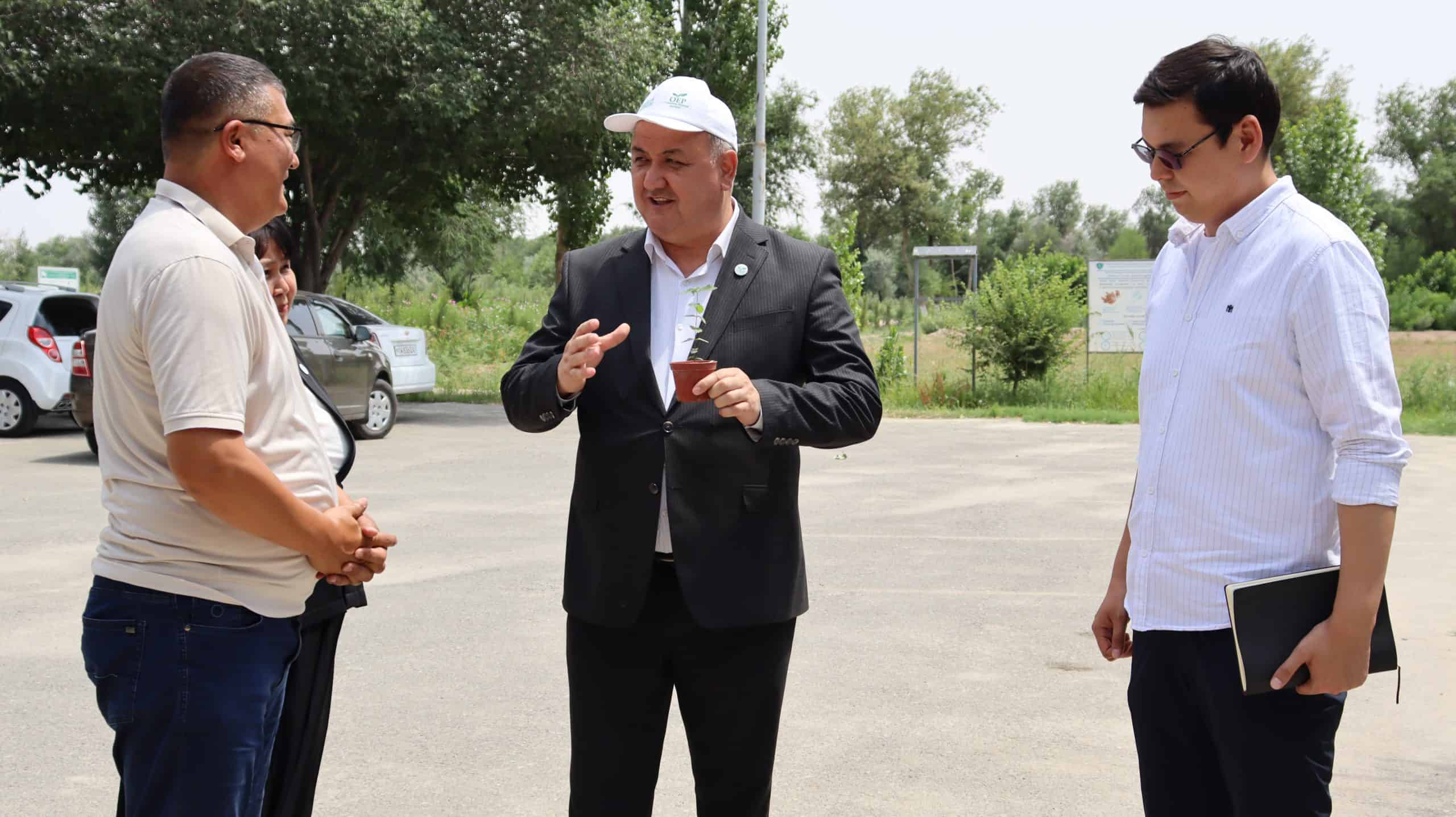 Мониторинг и сопровождение проектов в сфере экологии и климата