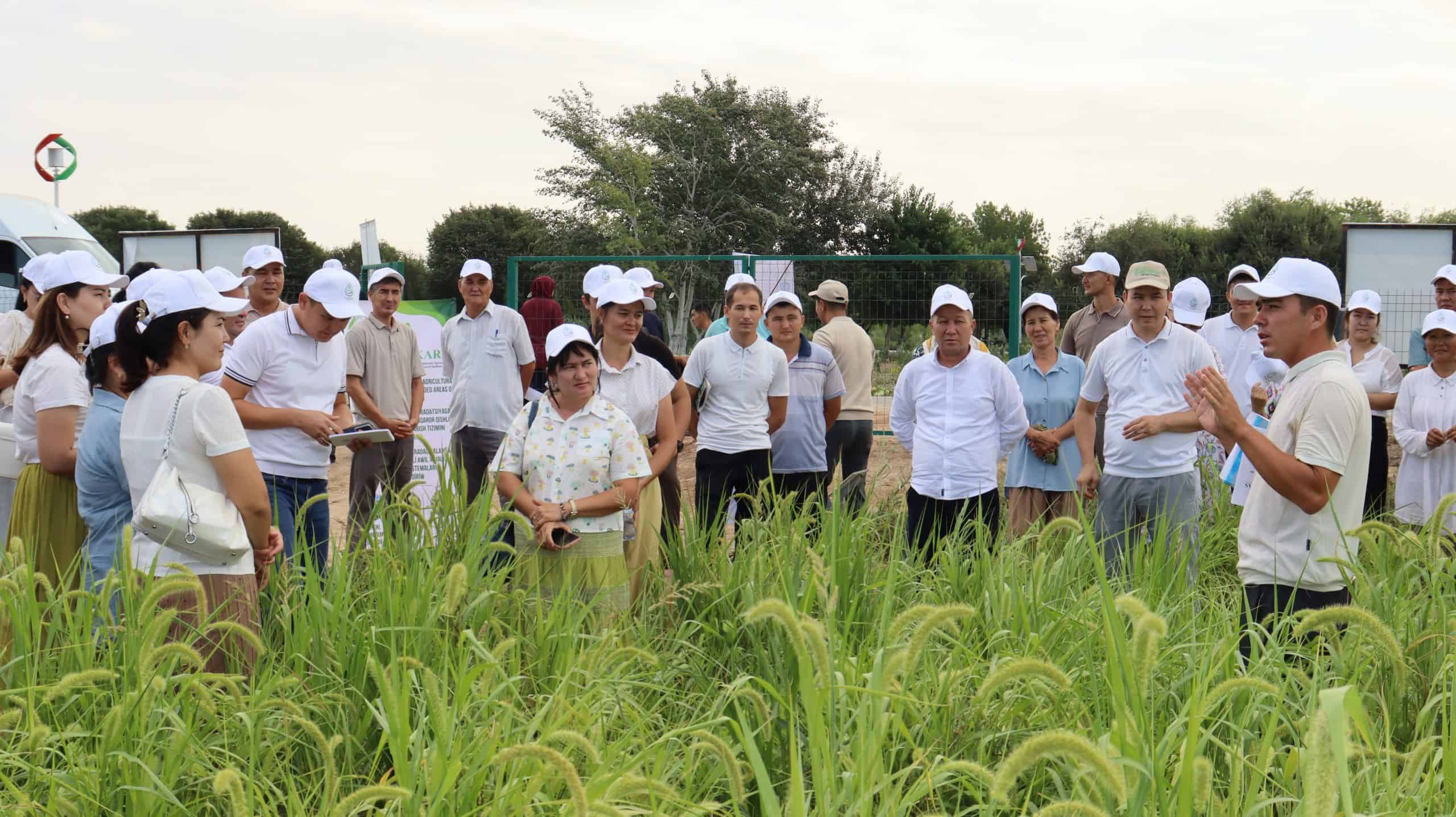 Field Day: Демонстрация технологий и сортов сельскохозяйственных культур