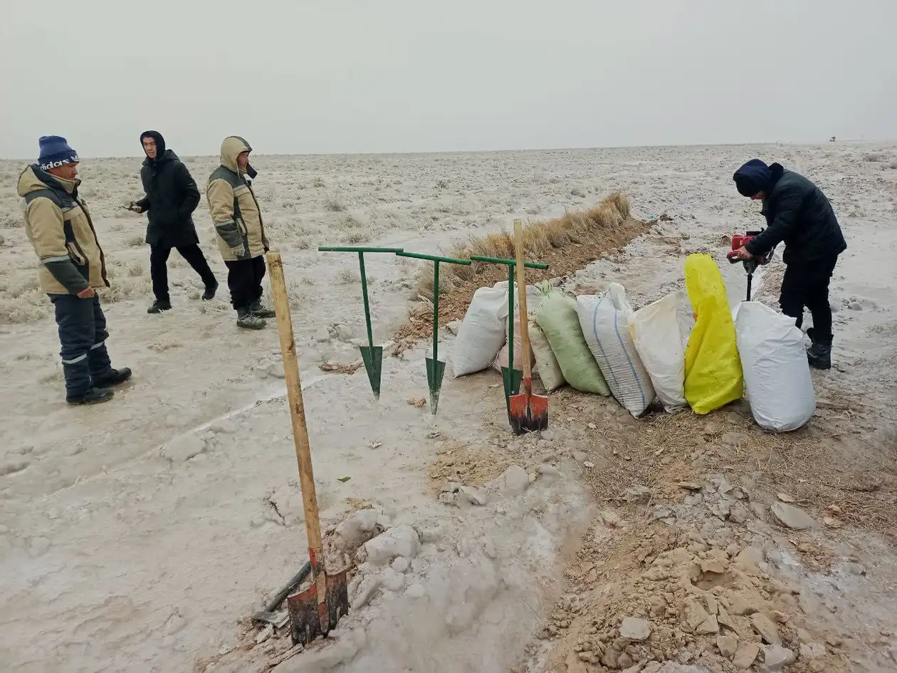 Вдоль международной трассы А380 высажены саженцы в рамках проекта «Яшил макон»