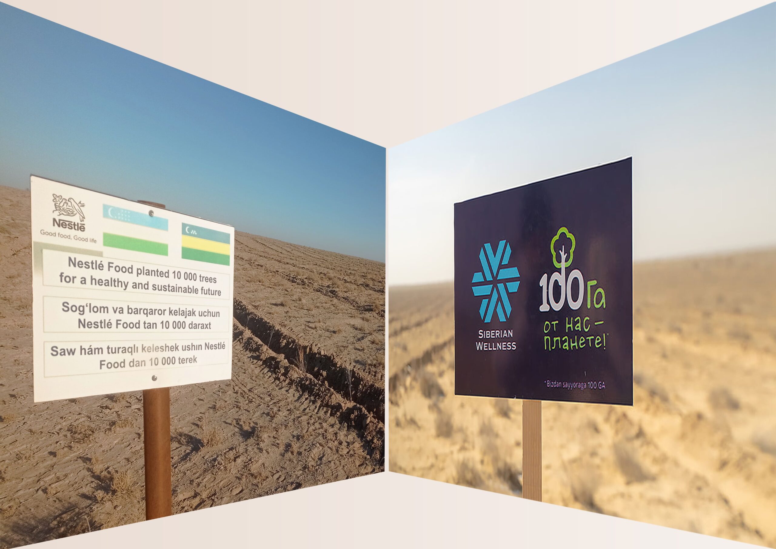 Ekologik hamkorlik: Orolbo‘yini tiklash bo‘yicha yirik eko-aktsiyalar