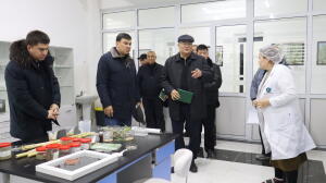 Мониторинг исследований по интродукции и испытанию растений, способных адаптироваться к экстремальным почвенно-климатическим условиям